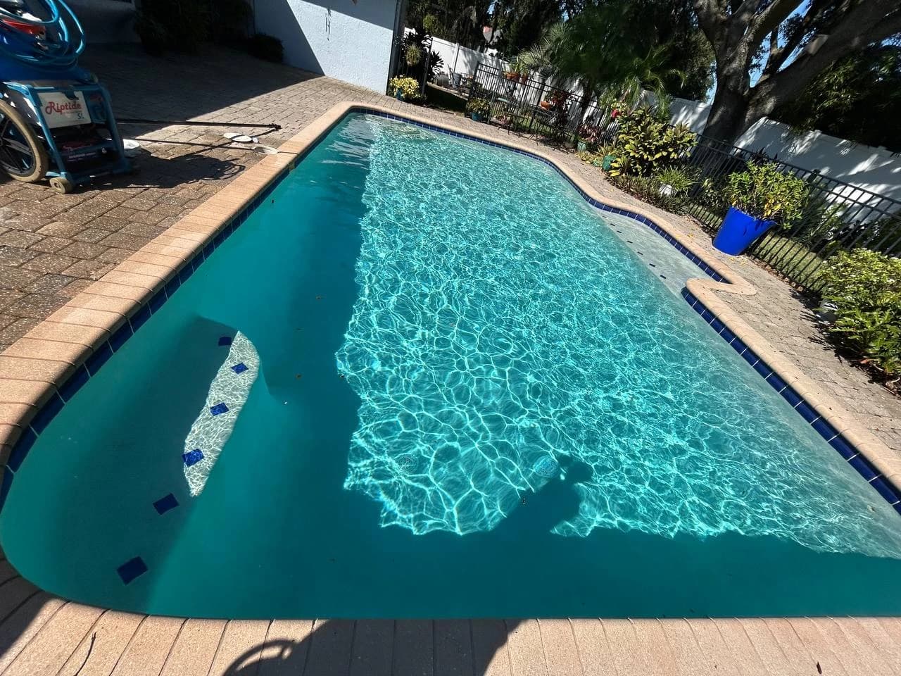 Complete pool maintenance and tile cleaning results